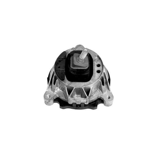 COXIM MOTOR LE - BMW 116i (F20) 2010 a 2015 / 118i (F20) 2011 a 2017 / 320i (F30) 2013 a 2018 - TENACITY - AWSBM1052