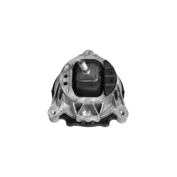 COXIM MOTOR LD (HIDRAULICO) - BMW 116i (F20) 2010 a 2015 / 118i (F20) 2011 a 2017 / 320i (F30) 2013 a 2018 - TENACITY - AWSBM1053