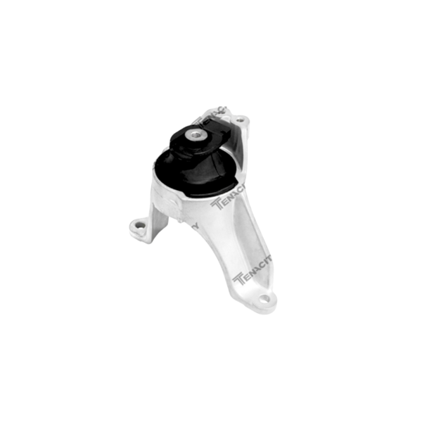 COXIM MOTOR LD (HIDRAULICO) - TOYOTA RAV4 2013 A 2018 - TENACITY - AWSTO1397